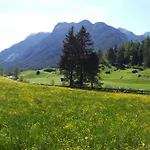 Katja's 堤林斯