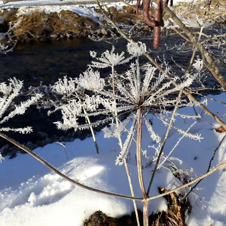 Apartament Katja's *