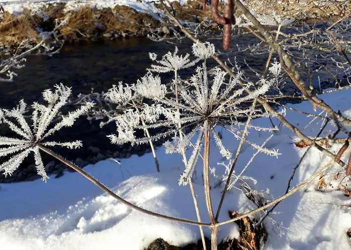 Appartement Katja's *