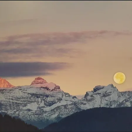 Katja's Apartamento *